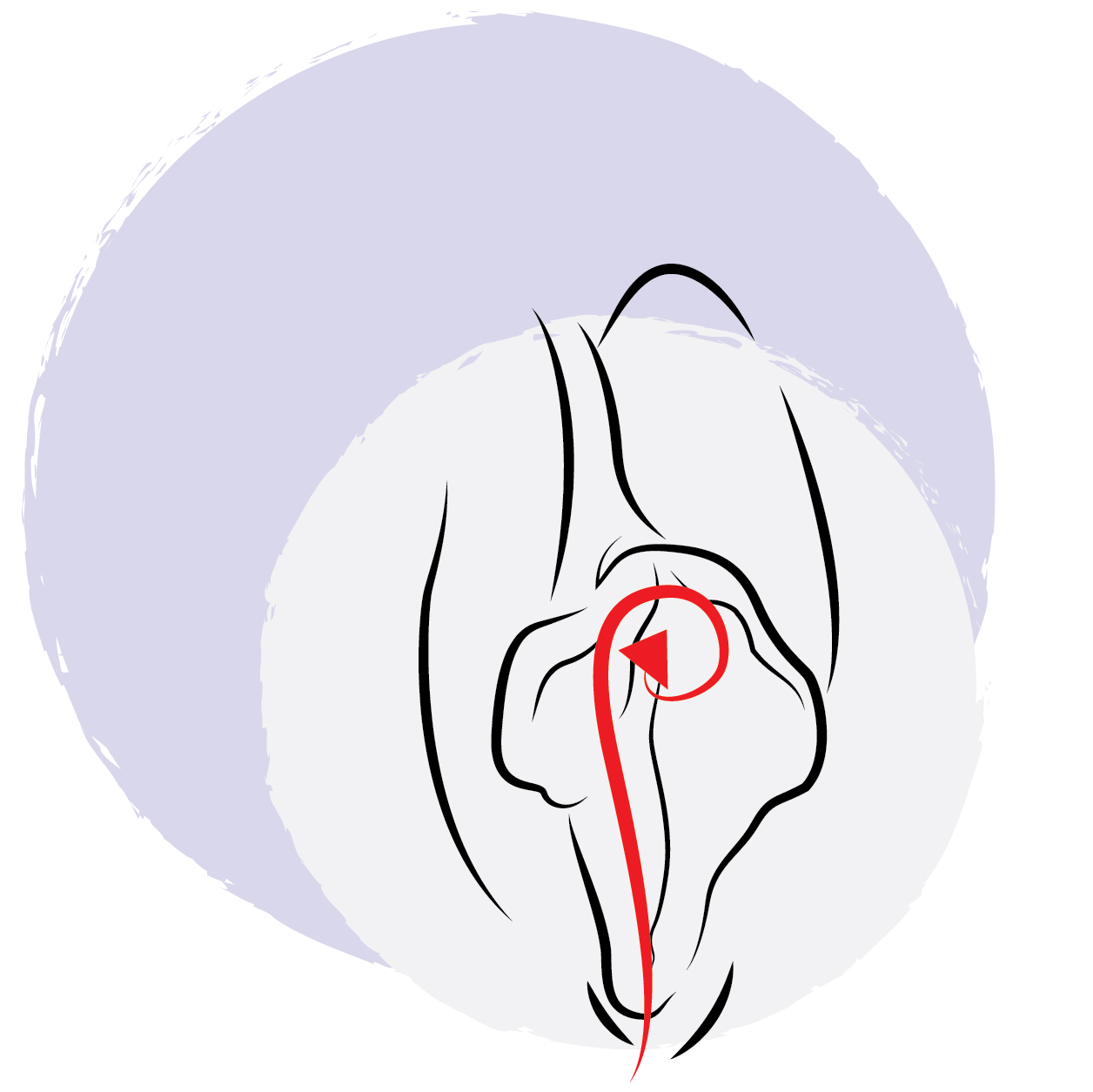 Technique de cunnilingus - stimulation du clitoris pendant le sexe oral